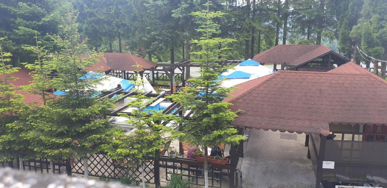 Hotel Bucegi Portile Regatului Pârâul Rece Zewnętrze zdjęcie