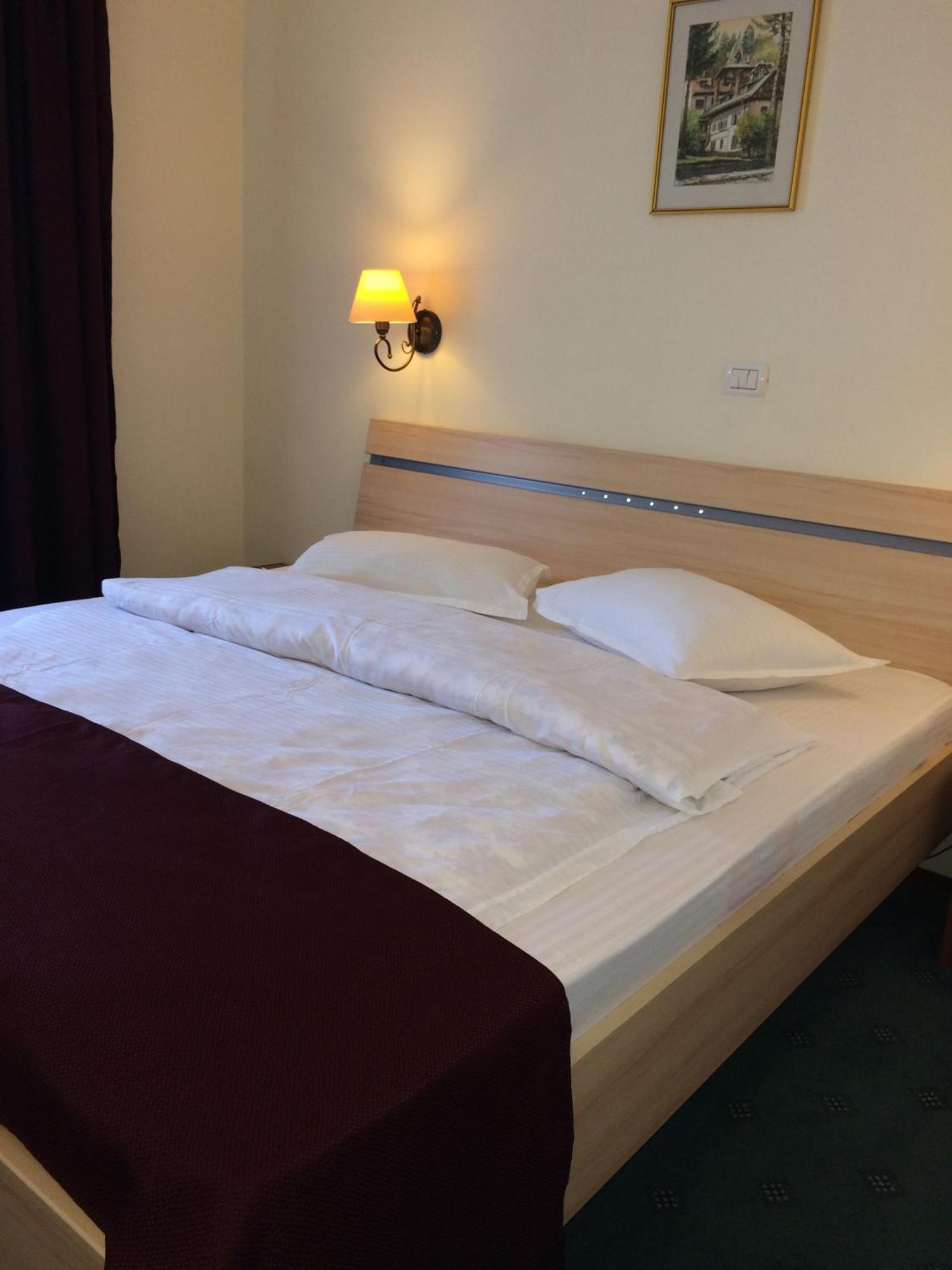 Hotel Bucegi Portile Regatului Pârâul Rece Pokój zdjęcie