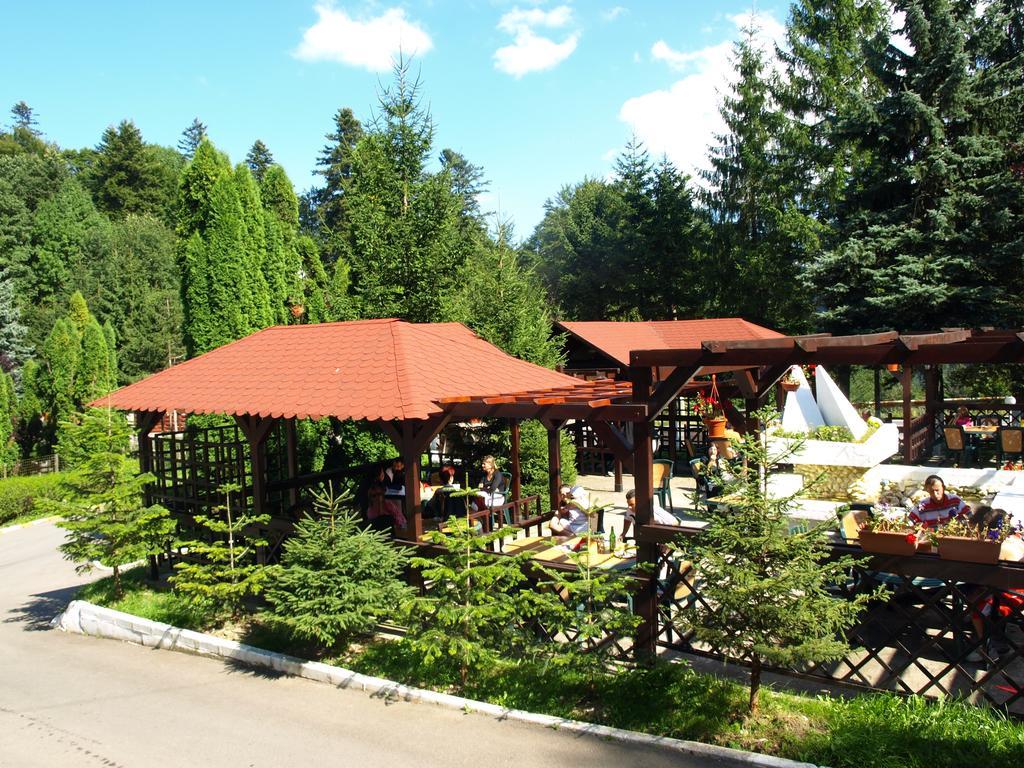 Hotel Bucegi Portile Regatului Pârâul Rece Zewnętrze zdjęcie
