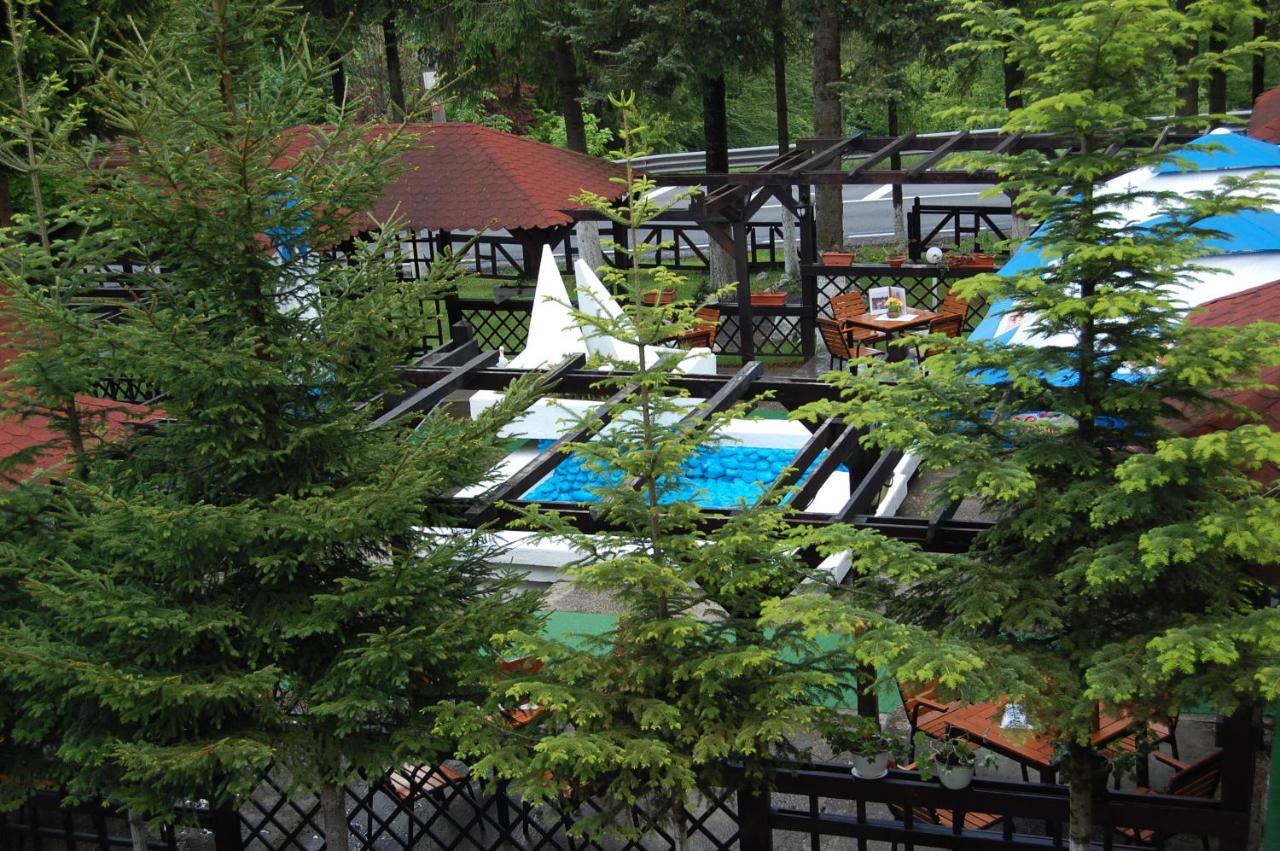 Hotel Bucegi Portile Regatului Pârâul Rece Zewnętrze zdjęcie